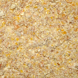 Broiler Chicken feed